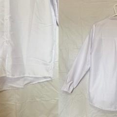 【新品】レディース Yシャツの画像