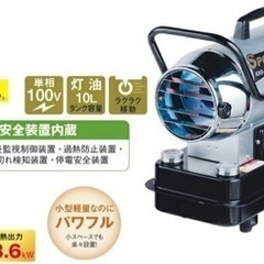 RAID JACKALL depsバスルアーセット