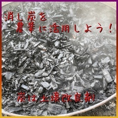 🌽菌ちゃん農法での野菜作りボランティア募集！9月の予定追加しました！ − 兵庫県