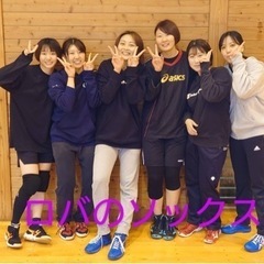 男女混合バレー★ふんわりOK！がっつりOK！ - スポーツ