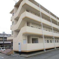 【賃料２ヶ月分無料キャンペーン】★賃料２ヶ月分無料＋敷金礼金不要！人気の赤塚/見和エリア！  − 茨城県