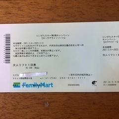 ロッテアライリゾート　大人リフト1日券　昨年購入鬼割チケット