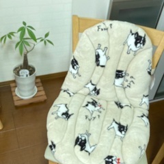 椅子クッション
