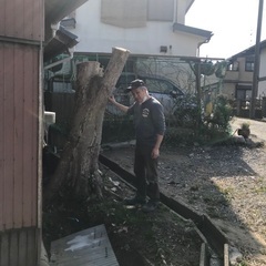 抜根して欲しいです。