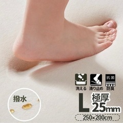 新品未使用　低反発　撥水　極厚25mm ラグ　3畳　200×25...