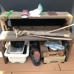 植木と植木鉢　一個200円　3/13までの画像