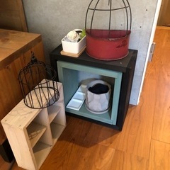 植木と植木鉢　一個200円　3/13まで