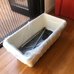 植木と植木鉢　一個200円　3/13までの画像