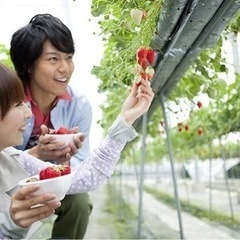 🌸春から新しい事を始めてみましょう🌸 - 水戸市