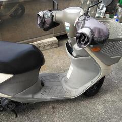 スズキレッツ4の画像