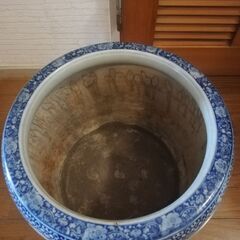 火鉢　メダカ　鉢の画像