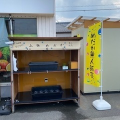 上板めだか　2022の画像