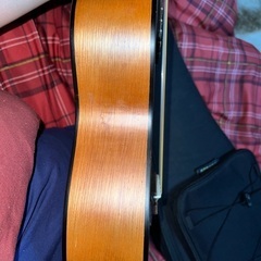 ヤマハギタレレ YAMAHA GL1 + Caseの画像