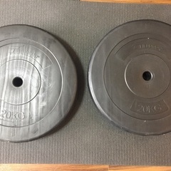 20kg 2個セット ウェイト プレート