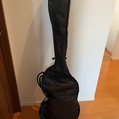エレキベース　aria pro2 アリアプロ2の画像