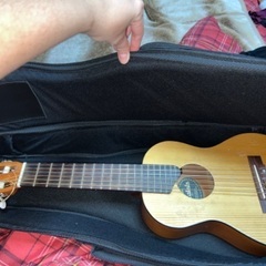 ヤマハギタレレ YAMAHA GL1 + Caseの画像