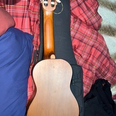 ヤマハギタレレ YAMAHA GL1 + Caseの画像