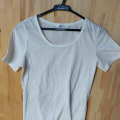 Tシャツセットの画像
