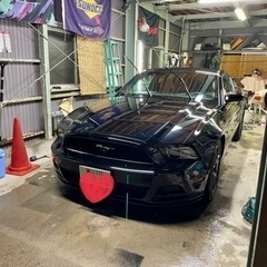 車磨きます！　車の雪下ろした時についた傷など綺麗にしましょう✨