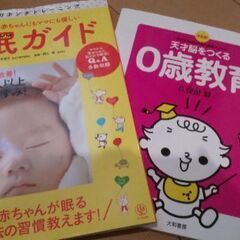 赤ちゃんにもママにも優しい安眠ガイド 他1冊