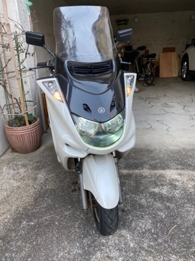 自賠令和6年1月付 マジェスティ250 SG03J 　ワンオーナー車