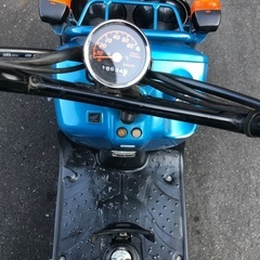 ホンダ　ズーマー　お値下げしました。の画像