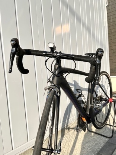 specialized 