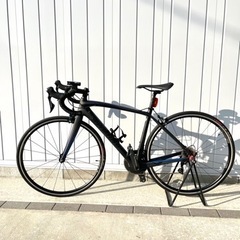 specialized 