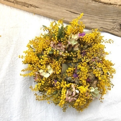 ミモザリースju