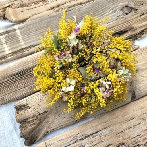 ミモザリースju