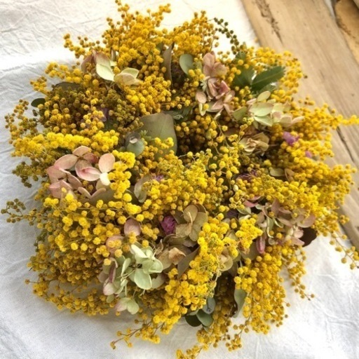 ミモザリースju