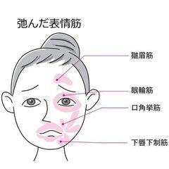 表情筋診断・モニター募集