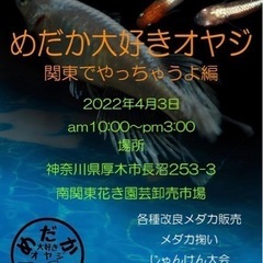 4/3（日）厚木市長沼にて大規模メダカイベント開催！