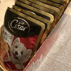 ドッグフード　犬　フード　シーザー　とろみタイプの画像