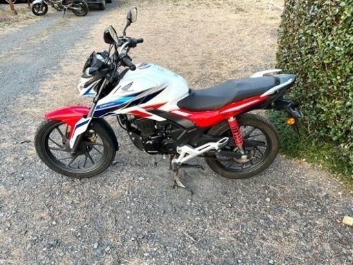 198.  動画あり　ホンダ　CBF 125R  小型　バイク　車体