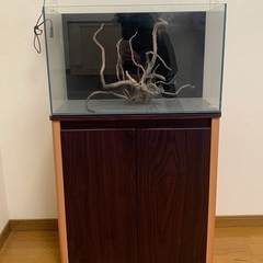 ADA水槽セットの画像