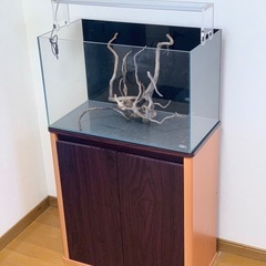 ADA水槽セット