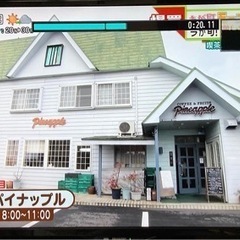 「喫茶みなと」 「喫茶パイナップル」 が登場！中京テレビがロキポで配信中。「モーニング一番店」の小牧市編 - 地域/お祭り