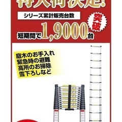 【お取引中】ハシゴ