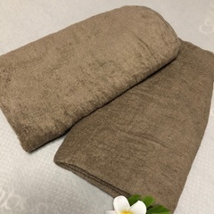 【取引中】大判タオルシーツ２枚/タオルシーツ２枚の画像