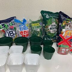 観葉植物の土・多肉の土・軽石・害虫予防・スリット鉢