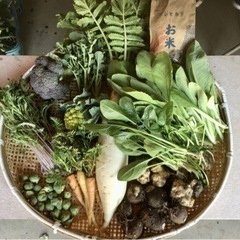 3/13 季節の野菜とコシヒカリ②