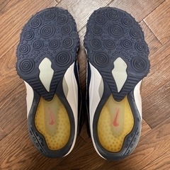 NIKE AIRZoomフライトの画像