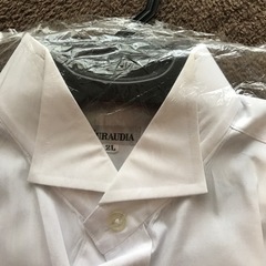 シャツ　正装用の画像