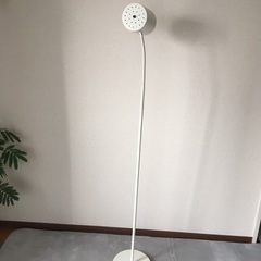 ニトリ　電気スタンドの画像
