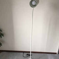 ニトリ　電気スタンド