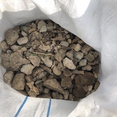 庭から出た小石の画像