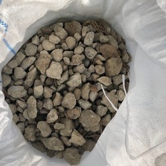 庭から出た小石の画像