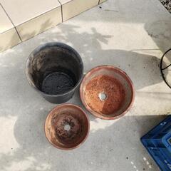 植木鉢3点の画像