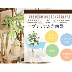 【値下げしました】フィカスウンベラータ 光触媒フェイクグリーン 空気清浄 消臭 観葉植物 インテリアの画像